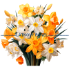 Látkový panel - Narcisy - KYT-739