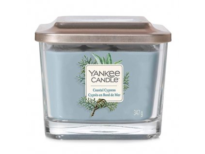 Svíčka ve skleněné váze Yankee Candle Pobřežní cypřiš, 347 g
