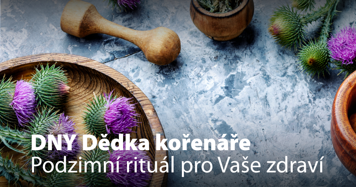 DNY DĚDKA KOŘENÁŘE Podzimní rituál pro zdraví