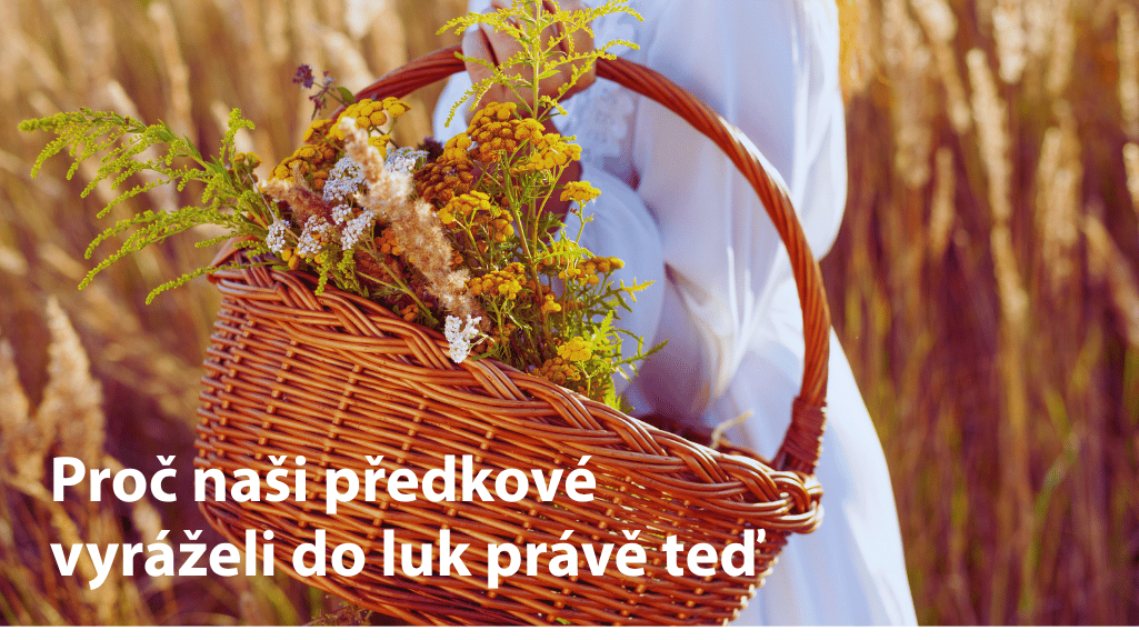Letní slunovrat a svatojánská noc: čas bylin, světla a starých tradic