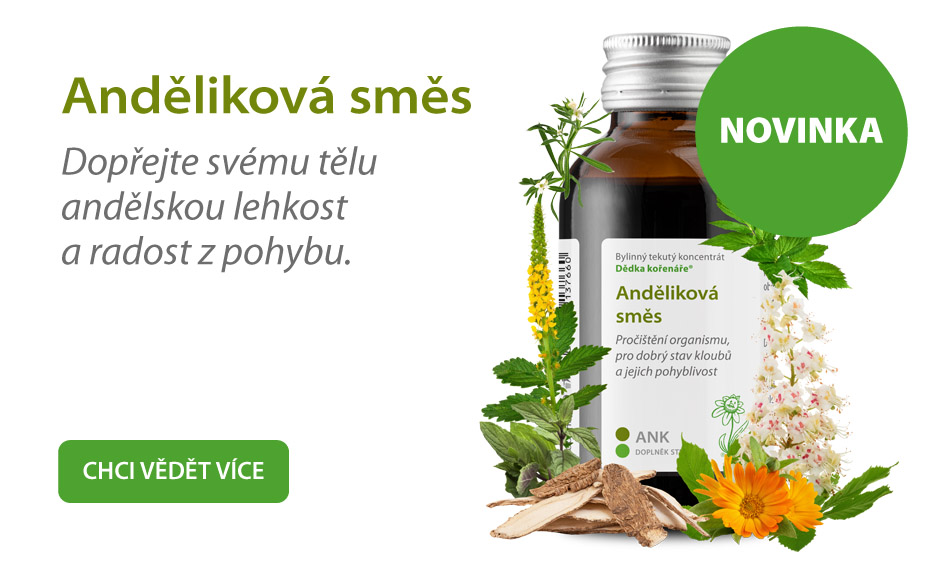 NOVINKA Anděliková směs