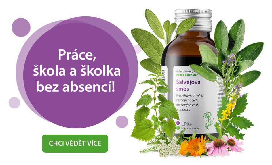 Šalvějová směs – Práce, škola a školka bez absencí!