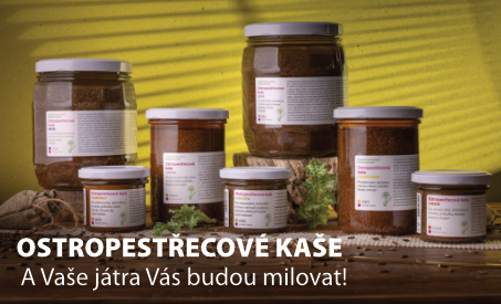 Ostropestřec mariánský – skvělý pro Vaše játra