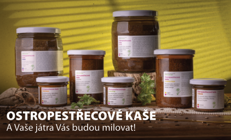 Ostropestřec mariánský – skvělý pro Vaše játra