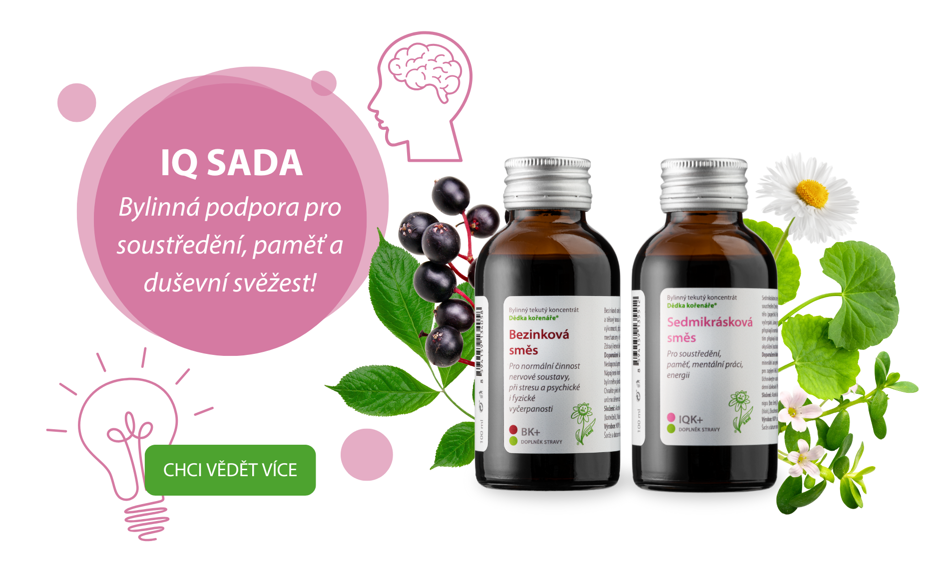 IQ sada Dědka kořenáře