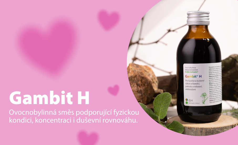 Valentýnský Gambit H