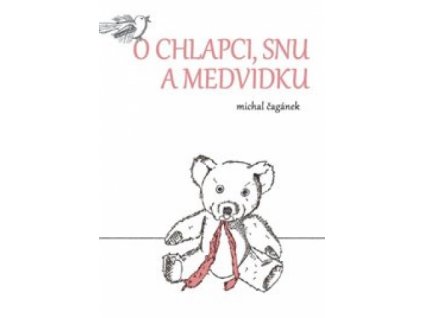 o chlapci snu a medvidku p00655 480
