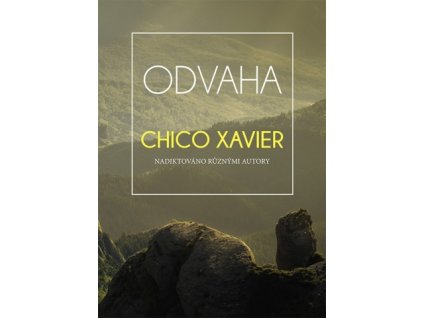 odvaha p00766 480