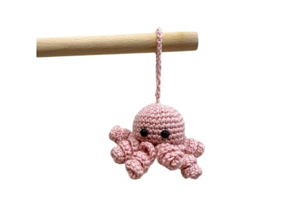 chbotnička růžová1