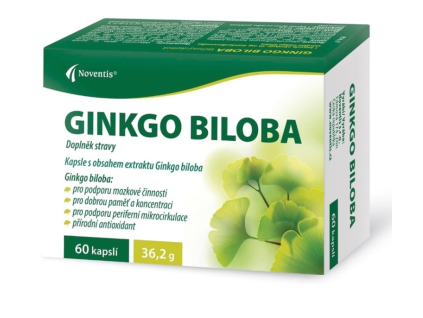 Ginkgo biloba dedek korenar