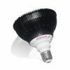 dedek korenar mito light bulb 3 0 terapie cervenym svetlem side