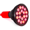 MITO bulb 5.0 dedek korenar