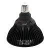 MITO bulb 5.0 konec dedek korenar