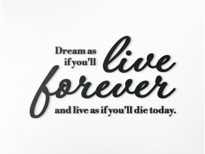48713 dreveny citat dream as if you ll live forever