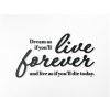 48713 dreveny citat dream as if you ll live forever