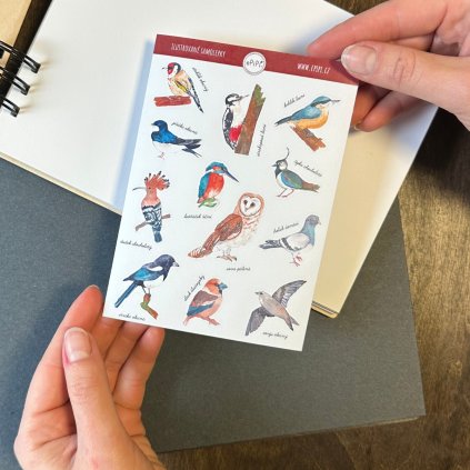 Samolepky Ptáci
