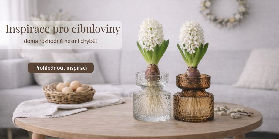 Cibuloviny - Deejada.cz