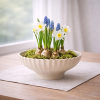 Pro vaše cibuloviny