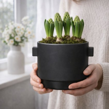 vaza wikholm form (4)