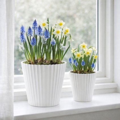 kvetinac wikholmform (12)