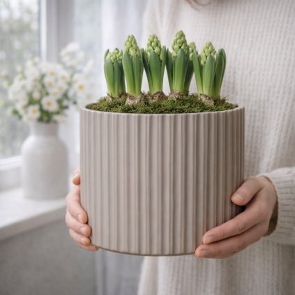 kvetinac wikholmform (2)