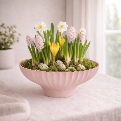 plastova misa k osazeni (1)