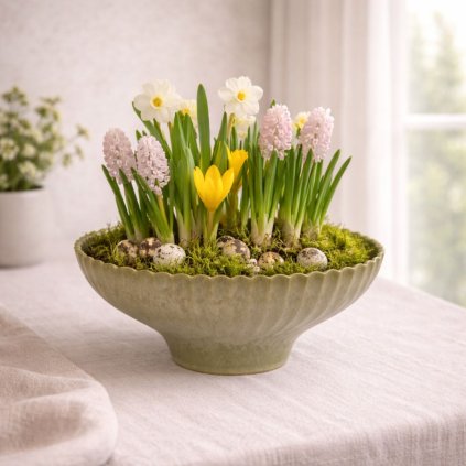 plastova misa k osazeni