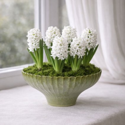 misa pro tvoreni zelena