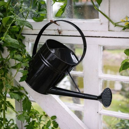 konev na zalevani (25)