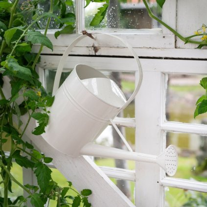 konev na zalevani (22)