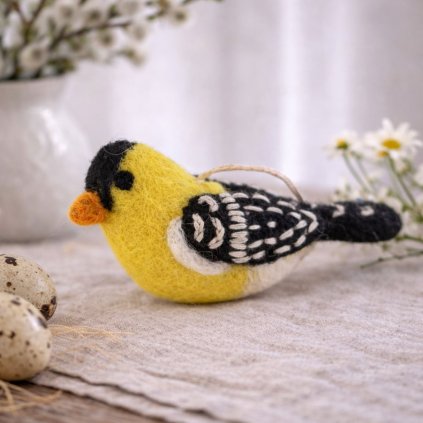 plsteny ptacek penkava 1