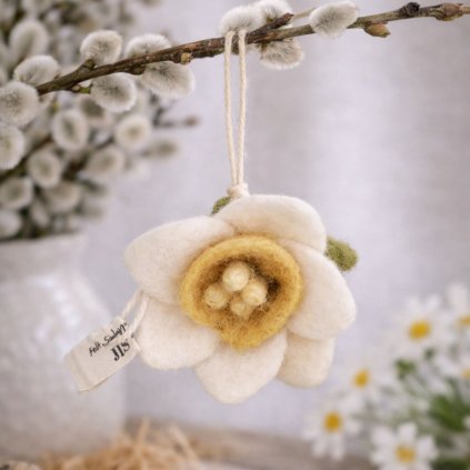 plsteny narcis bily 1