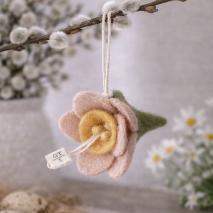 plsteny narcis ruzovy 1