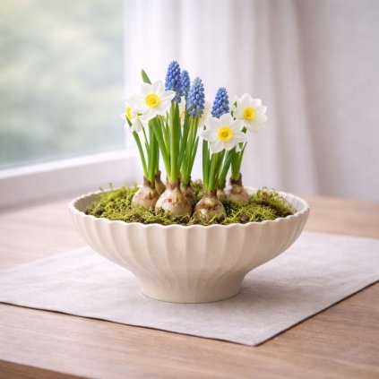 bezova misa k dekorovani