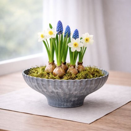 seda melanz misa k dekorovani