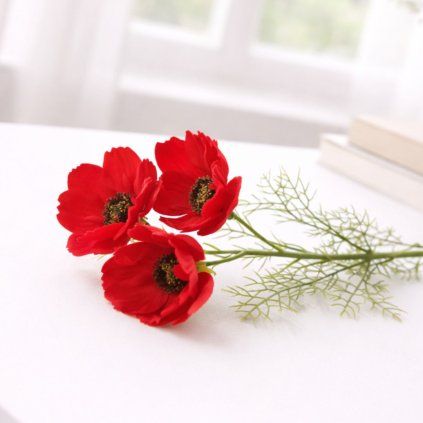 červene vlci maky (1)