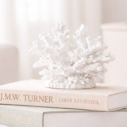 koral oceansky vanek dekorace (3)