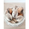 Velikonoční vajíčka pravá kropenatá s peříčkem 12ks box