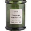 Vonná svíčka Bergamot a cedrové dřevo 140g