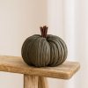 dekorativni dyne (5)