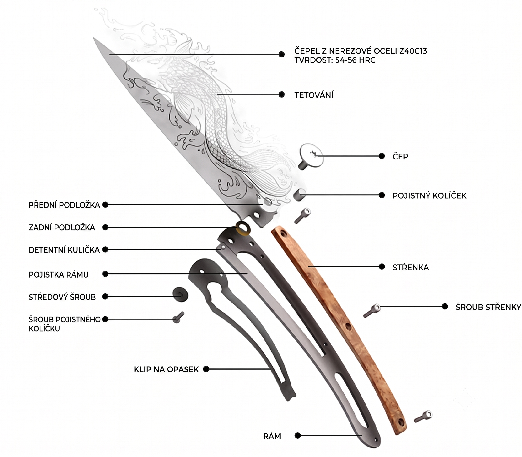 Deejo-anatomie-CZ