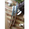 794 4 794 1 sada steakovych nozu deejo 2fb001 titan olive wood