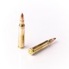 FIOCCHI .223 REMINGTON 55gr FMJ