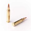 FIOCCHI .223 REMINGTON EPN 60gr