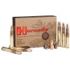 strelivo hornady dangerous game 450 nitro express 480gr 31 1g dgx bonded 20ks 01