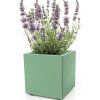 u2472639453 A plater box high 40 cm with full of lavendula in 139509f5 5aa4 4fdc ac2c 03a581e591af 2