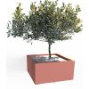 u2472639453 olive tree chaos 30 ar 6374 stylize 450 w 5e5fbd32 d1f1 4a31 a3d9 32e4bfbc3af4 0