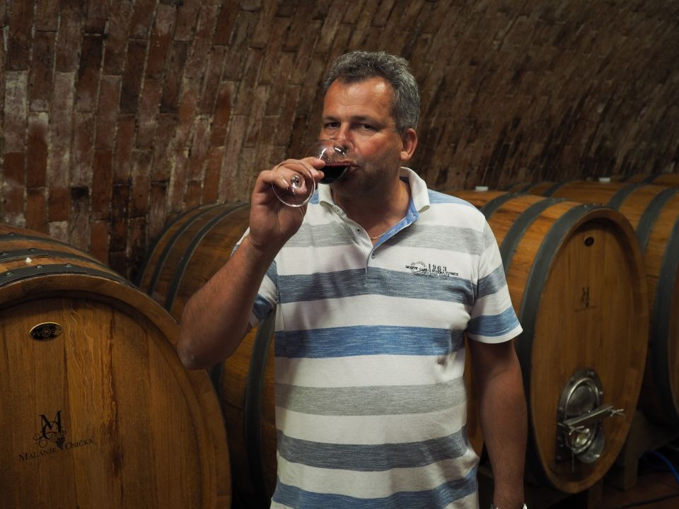 Vinařství Maláník–Osička