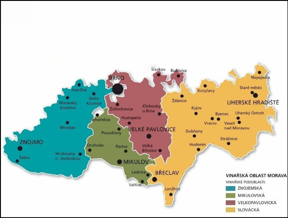 Moravská vinařská oblast a její podoblasti: Průvodce světem moravských vín