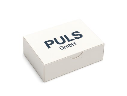 Puls ChatGPT